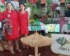Flora and Fauna Company Sancti Spíritus wins Grand Prize at ExpoYayabo 2024 (+video) – Escambray