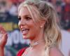 Britney Spears shared her taste for a Malbec from Mendoza: “A real wine” – News
