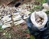They neutralize 197 dissident explosives in Cauca