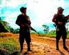 Dissidents would have plans to kidnap deputies from Cauca and Valle: Military Intelligence