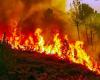 Uttarakhand Forest Fires Show Signs Of Calming Amid Rainfall; Efforts Continue In Affected Regions