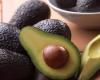 What happens if you eat an avocado every day