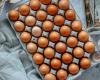 Why brown eggs cost more than white ones