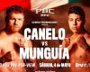 On which channel do they broadcast the Canelo vs. fight? Munguía live and free from Mexico and the USA? Boxing TV Channels more countries | MIX