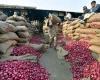 Govt Lifts Ban On Onion Exports; Imposes Minimum Export Price Of USD 550/Tonne – Kashmir Observer