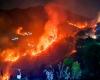 3 workers from Nepal dead in Uttarakhand forest fire in 24 hours | Dehradun News