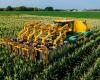 The pollinator machine that seeks to “save” corn and wheat