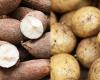 Potato or cassava? According to nutritionists, this would be the healthiest food