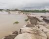 The Cauca River took away the barriers in a cat’s face and La Mojana floods