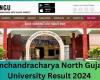 HNGU Result 2024 OUT at ngu.ac.in, Direct Link to Download UG and PG Marksheet