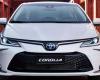 How much is the Toyota Corolla Hybrid 2025 that DOES NOT PAY PATENT with price updated as of May 2024