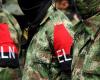 Intelligence report says that division within the ELN is over the control of coca in Nariño