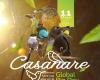 Casanare will participate in the Global Big Day