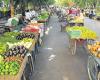 Hot summer drives up vegetable prices | Latest News India