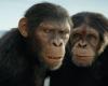 Forecasts predict a great premiere for ‘Kingdom of the Planet of the Apes’ at the box office