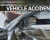 Coroner rules death in Elizabeth Township accidental crash | Local News