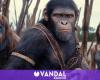 ‘Kingdom of the Planet of the Apes’ conquers critics and there is good news: It aims to be a success
