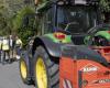 CÓRDOBA DEPUTATION ROAD CLEARING | The Provincial Council of Córdoba begins the clearing and pruning of the margins of several roads in the area of ​​La Sierra