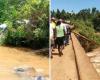 Four Family Members Perish in Single Accident in Bomet, Along Bomet-Olenguruone Road