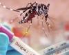 Six deaths from dengue in Huila: The alert persists