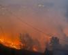 Five dead, 1,300 hectares of land affected in Uttarakhand forest fires, officials say