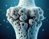 What is the vitamin that helps prevent osteoporosis and what foods contain it?