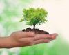 For the restoration of soils, Villa Clara celebrates World Environment Day