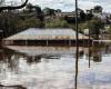 Serious floods in Entre Ríos and Uruguay: thousands of people had to leave their homes | 26 Planet