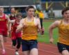 13 Hillsdale County track athletes and relay teams win at the Jack Beilfuss Invitational