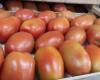 Tomatoes in Jujuy became a luxury: the price is through the roof