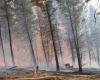 BC wildfire updates: Thousands of hectares burning from ‘holdover’ fires