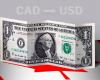 Dollar: closing price today, May 13 in Canada