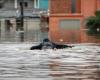 still under water, the city of Porto Alegre prepares for a new record flood