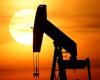 Oil steady as investors eye US inflation, OPEC report