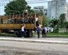 Medical students transport livestock in a truck in Villa Clara