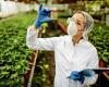 The importance of biotechnology in food processing