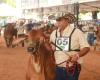 Córdoba Livestock Fair with outstanding activities on its penultimate day