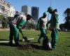 After the devastating storm in December, 50% more trees will be planted in the city of Buenos Aires than last year