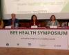 The Bee Health Symposium analyzes the implications of animal welfare in hives