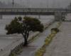 9 states expect heavy and torrential rains – El Financiero