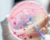 an antibiotic kills pathogenic bacteria and preserves healthy intestinal microbes