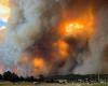 Forest fires devour town in New Mexico (VIDEOS)