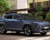 Hyundai presents the gasoline version of the Kona SUV in the country.