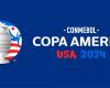 The CONMEBOL Copa América USA 2024™ prepares a series with exclusive images of the tournament