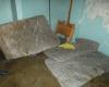 In Ibagué they close two lodging places because they found mice in the mattresses