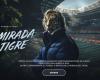 “The Look of the Tiger”: A conversational AI inspired by Ricardo Gareca emerges for the Copa América 2024