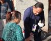 Saturday, Sunday and Monday with Health Operations in the capital of Jujuy – Ministry of Health