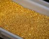 Gold Set for Weekly Rise on U.S. Rate Cut Optimism and Geopolitical Issues