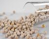 A very healthy option: Harvard revealed the reason why it is advisable to soak chickpeas
