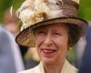 Princess Anne admitted with concussion after accident